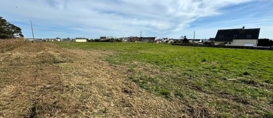 Terrain de 1 104 m² à Plozévet (29710)