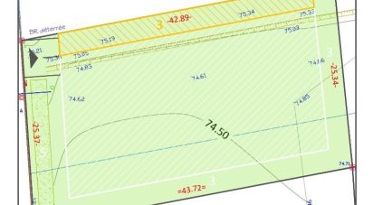 Terrain de 1 092 m² à Plozévet (29710)