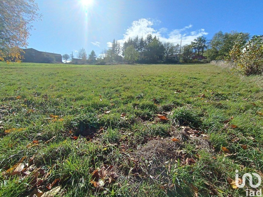 Terrain de 2 725 m² à Beaux (43200)