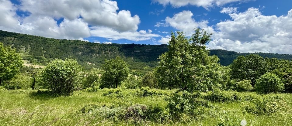 Land of 2,860 m² in Vesseaux (07200)