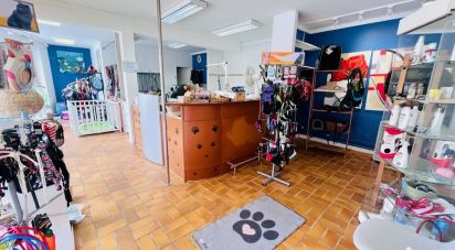 Local d'activités de 70 m² à Perros-Guirec (22700)