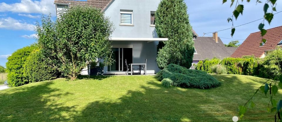 House 5 rooms of 135 m² in Sessenheim (67770)