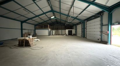 Local d'activités de 450 m² à Yzeure (03400)