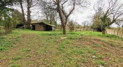 Maison 6 pièces de 128 m² à Saint-Malo-des-Trois-Fontaines (56490)