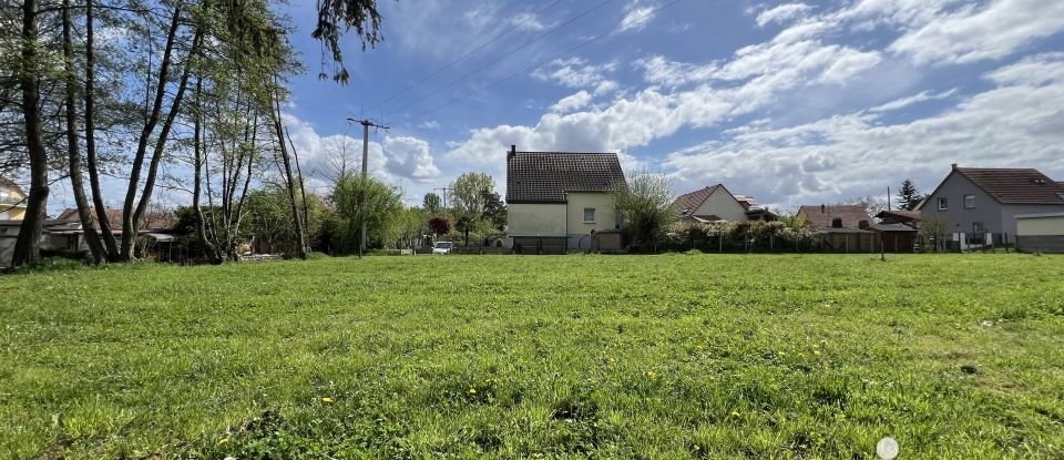 Land of 846 m² in Hilsenheim (67600)