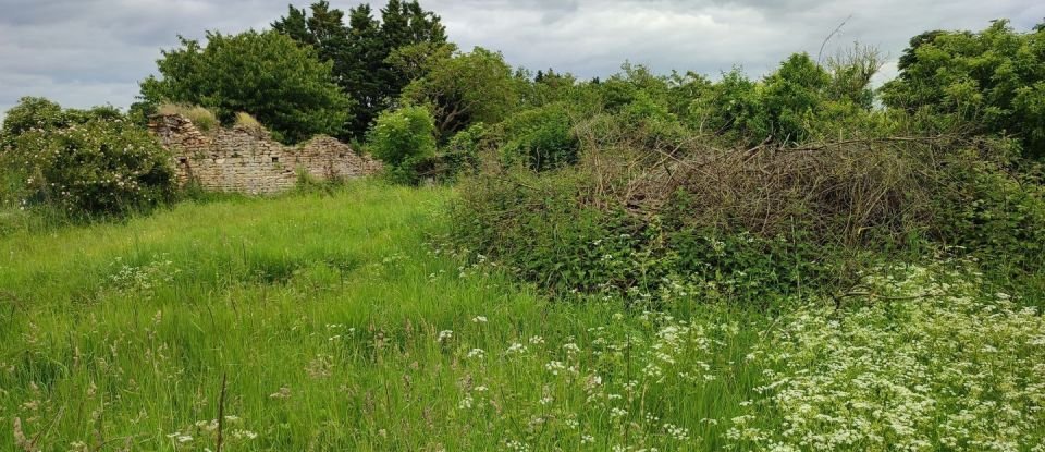 Maison 3 pièces de 30 m² à Angliers (86330)