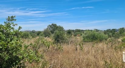 Terrain agricole de 2 823 m² à Bessan (34550)