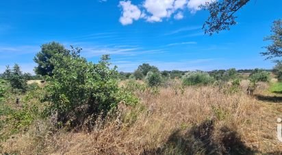 Terrain agricole de 2 823 m² à Bessan (34550)