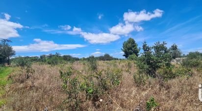 Agricultural land of 2,823 m² in Bessan (34550)