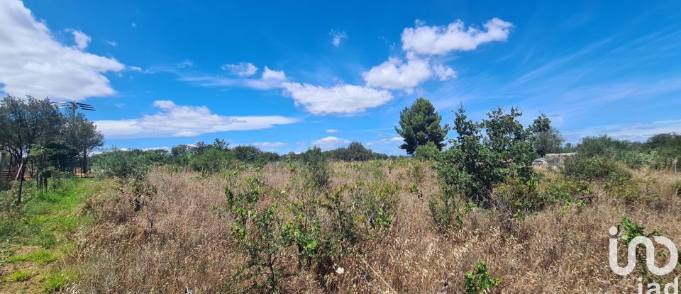 Terrain agricole de 2 823 m² à Bessan (34550)