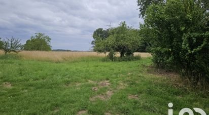 Terrain de 11 492 m² à Saint-Martin-d'Auxigny (18110)