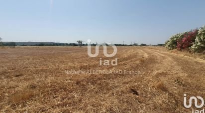 Terrain de 4 106 m² à Canet (11200)