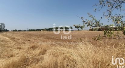 Terrain de 4 106 m² à Canet (11200)