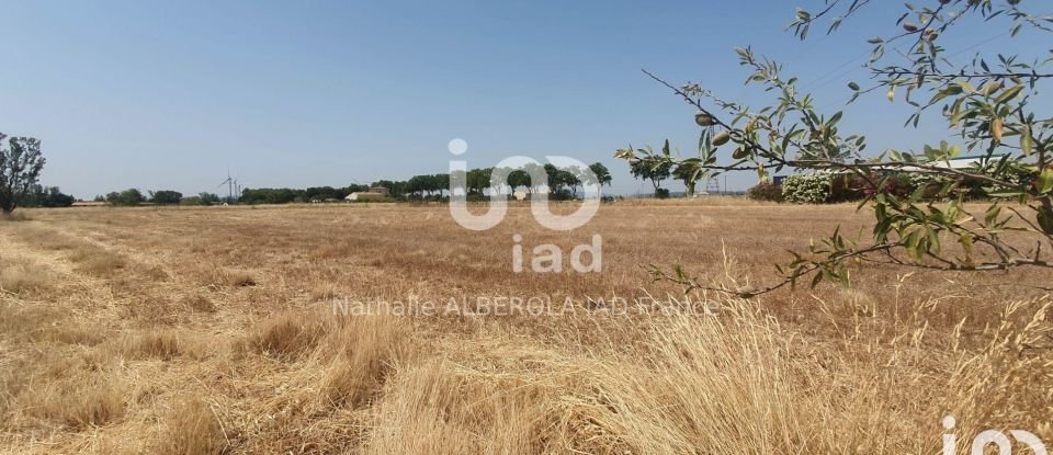 Terrain de 4 106 m² à Canet (11200)