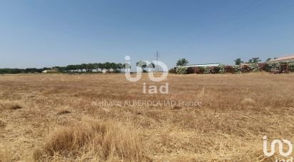 Terrain de 4 106 m² à Canet (11200)