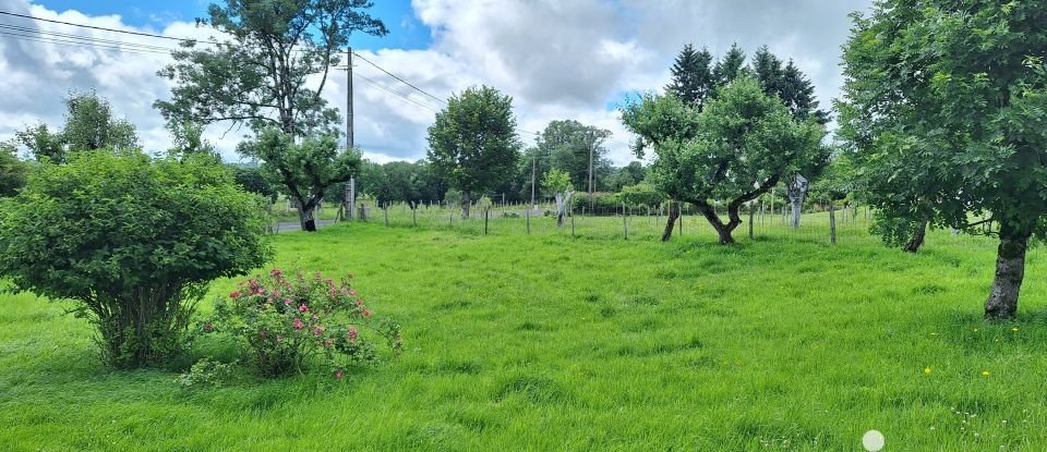 Maison 6 pièces de 110 m² à Pailherols (15800)