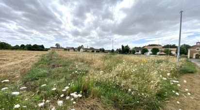 Land of 5,640 m² in Verrue (86420)