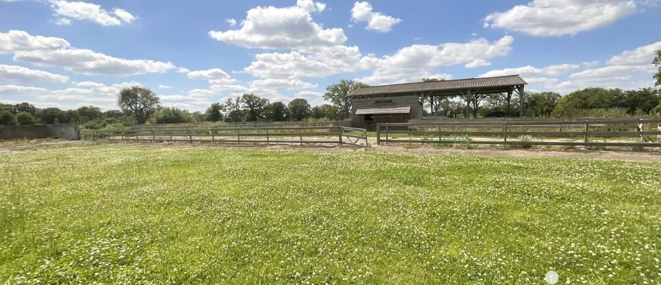 Longère 7 pièces de 232 m² à Mayenne (53100)