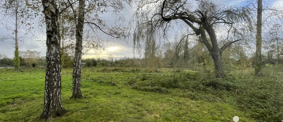 Terrain Loisirs de 6 536 m² à Wasnes-au-Bac (59252)