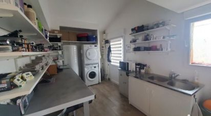 Local d'activités de 42 m² à MONTJEAN-SUR-LOIRE (49570)