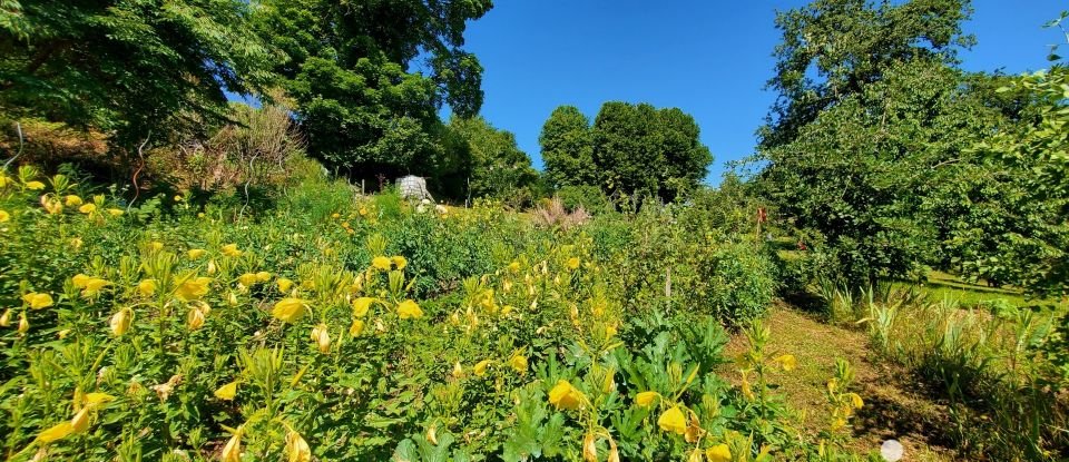 Terrain de 3 804 m² à Lacapelle-Marival (46120)