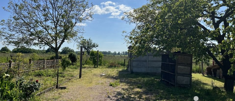 Maison 6 pièces de 170 m² à Le Bouchaud (03130)