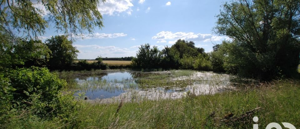 Longère 6 pièces de 115 m² à Ouzouer-sur-Trézée (45250)