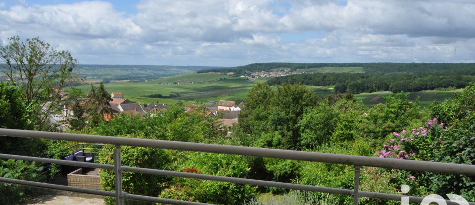 Maison traditionnelle 7 pièces de 141 m² à Champillon (51160)