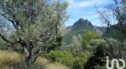 Terrain agricole de 3 287 m² à Buis-les-Baronnies (26170)