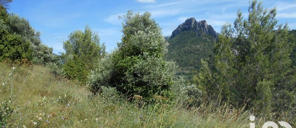 Agricultural land of 3,287 m² in Buis-les-Baronnies (26170)