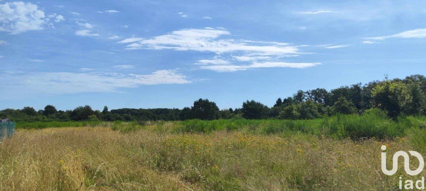 Terrain agricole de 38 184 m² à Ouzouer-sur-Loire (45570)