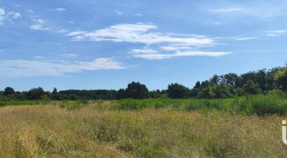 Terrain agricole de 38 184 m² à Ouzouer-sur-Loire (45570)