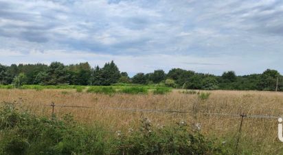 Terrain agricole de 38 184 m² à Ouzouer-sur-Loire (45570)