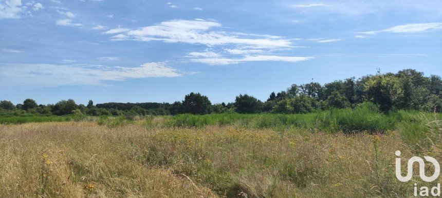 Terrain agricole de 37 258 m² à Ouzouer-sur-Loire (45570)