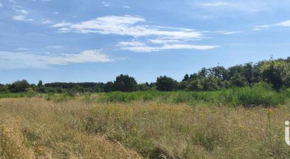 Terrain agricole de 37 258 m² à Ouzouer-sur-Loire (45570)