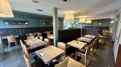 Restaurant of 270 m² in Pau (64000)