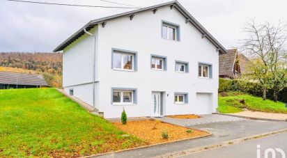 Maison 6 pièces de 149 m² à Levoncourt (68480)