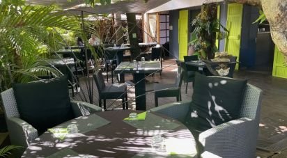 Restaurant of 400 m² in LA SALINE-LES-BAINS (97434)