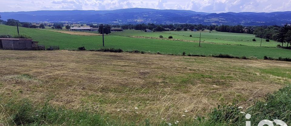 Land of 5,690 m² in Ambert (63600)