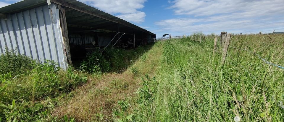 Terrain agricole de 42 000 m² à - (14390)