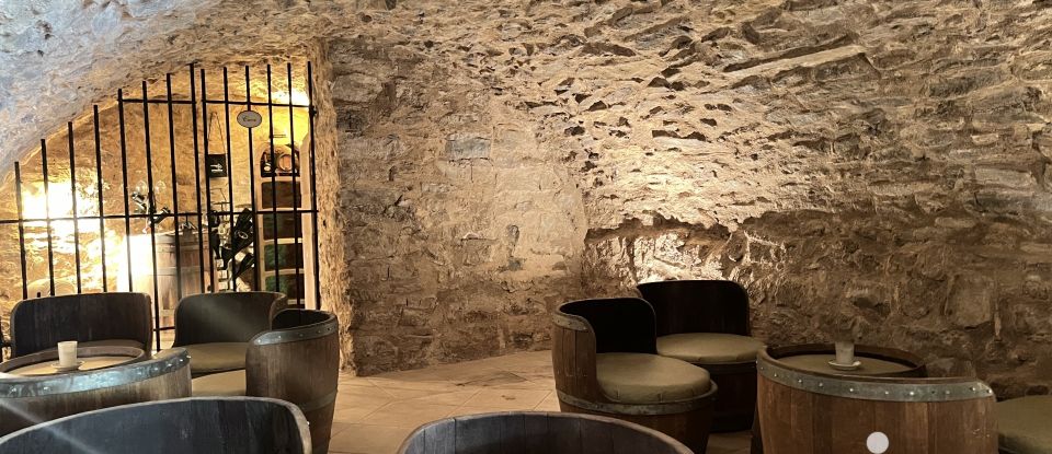 Domaine 8 pièces de 234 m² à Minerve (34210)