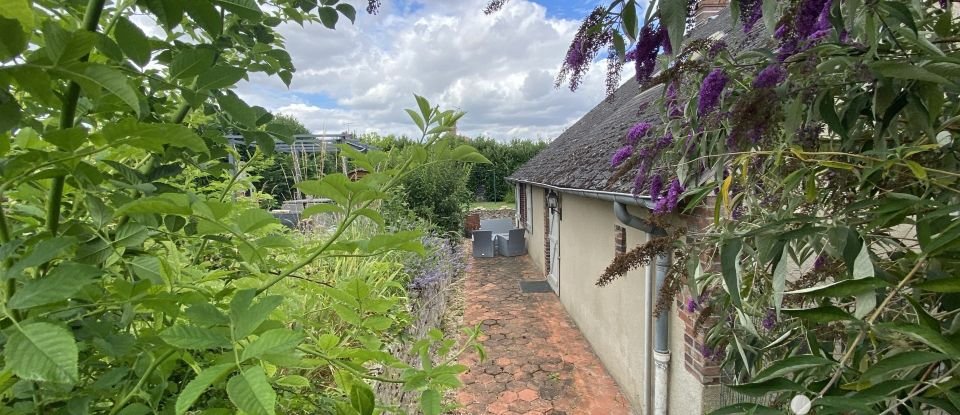 Maison de ville 4 pièces de 105 m² à La Chapelle-sur-Aveyron (45230)