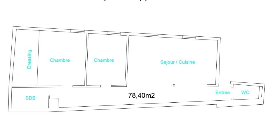 Appartement 3 pièces de 78 m² à Strasbourg (67000)