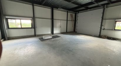 Local d'activités de 77 m² à Boissy-sous-Saint-Yon (91790)