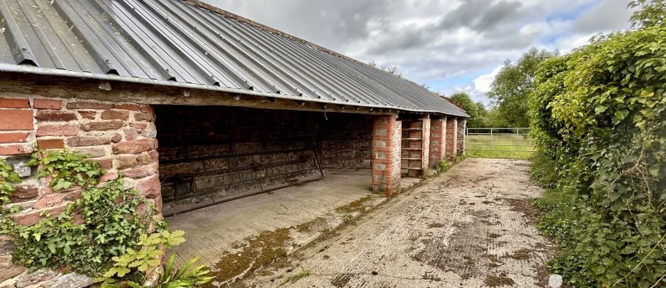 Maison traditionnelle 6 pièces de 138 m² à Orval sur Sienne (50660)