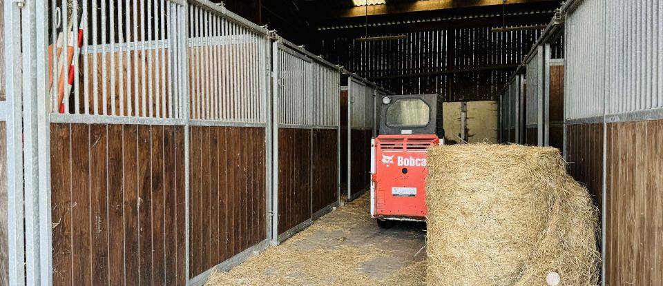 Equestrian facility 5 rooms of 126 m² in Trévières (14710)