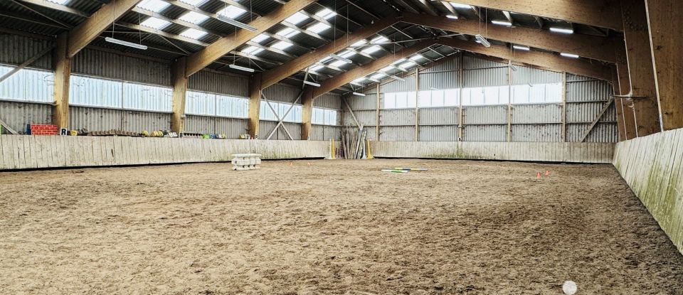 Equestrian facility 5 rooms of 126 m² in Trévières (14710)