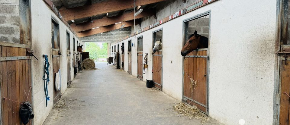 Equestrian facility 5 rooms of 126 m² in Trévières (14710)