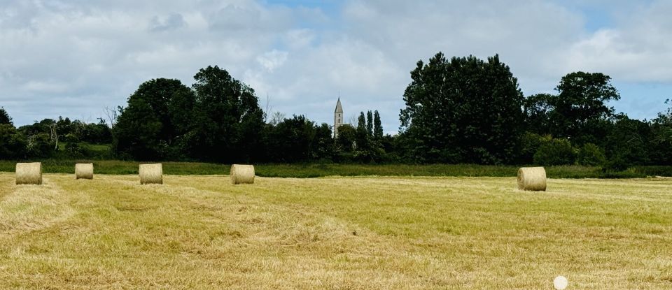 Haras 5 pièces de 126 m² à Trévières (14710)