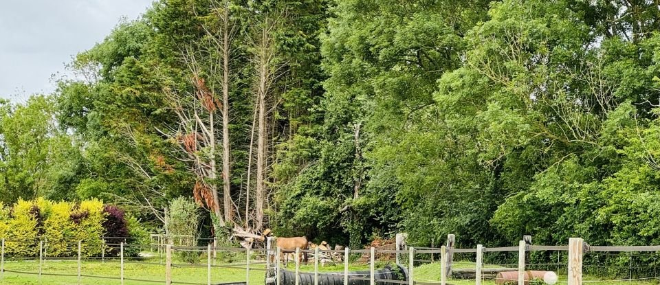 Equestrian facility 5 rooms of 126 m² in Trévières (14710)